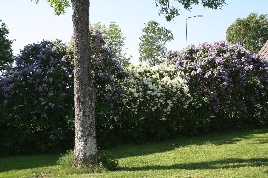 Gästhem Kronan Mariehamn Rum bild